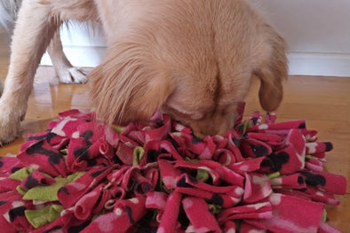 Why Use a Snuffle Mat?