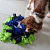 Archie Snuffling his Blue Daisy Snuffle Mat