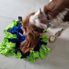 Archie with his Blue Daisy Snuffle Mat
