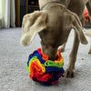 Casper snuffling his rainbow snuffle ball made by Pet Boutique NZ