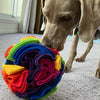 Casper with his rainbow snuffle ball made by Pet Boutique 