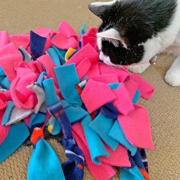 Mia with her snuffle mat