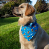 side view of leo wearing his buzzy bee dog bandana