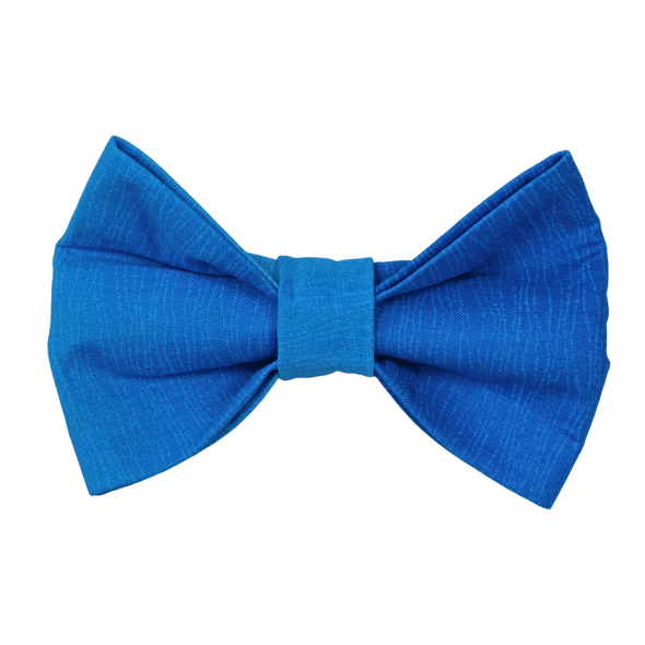 blue bowtie by pet boutique
