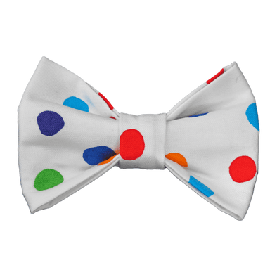 Colourful bright dots dog bow tie by pet boutique