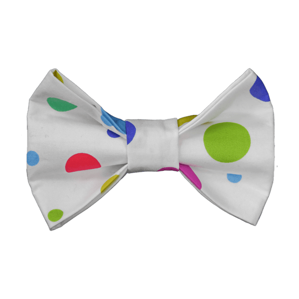 colourful pastle dots dog bowtie by pet boutique