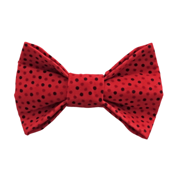 lots of little red dots bowtie by pet boutique