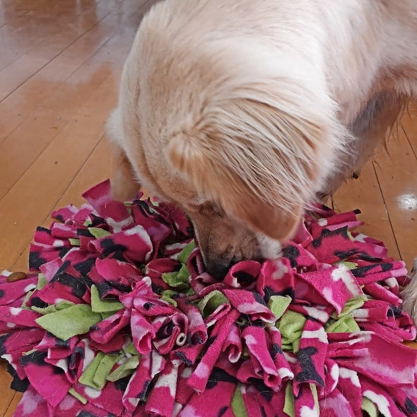 Leo with his snuffle mat