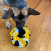 Rufus with his bumble bee snuffle ball made by Pet boutique